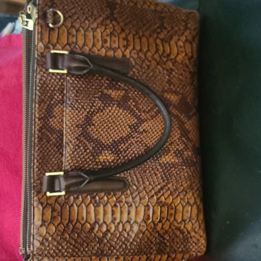 Brahmin bag with dust cover